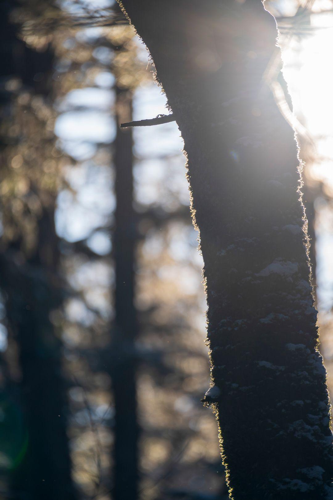 相册里随便一张照片配上这个bgm.