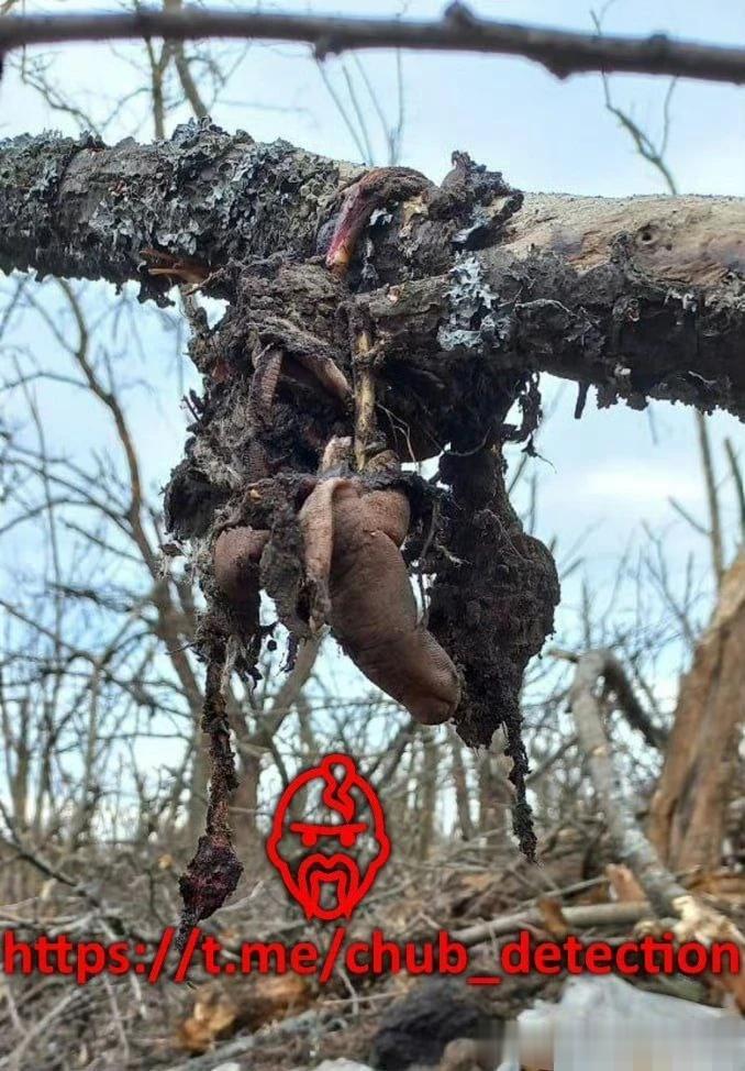 真实的战场，
昨日克列缅纳亚方向，留在阵地上或部分留下的士兵残骸。 ​​​
被炮