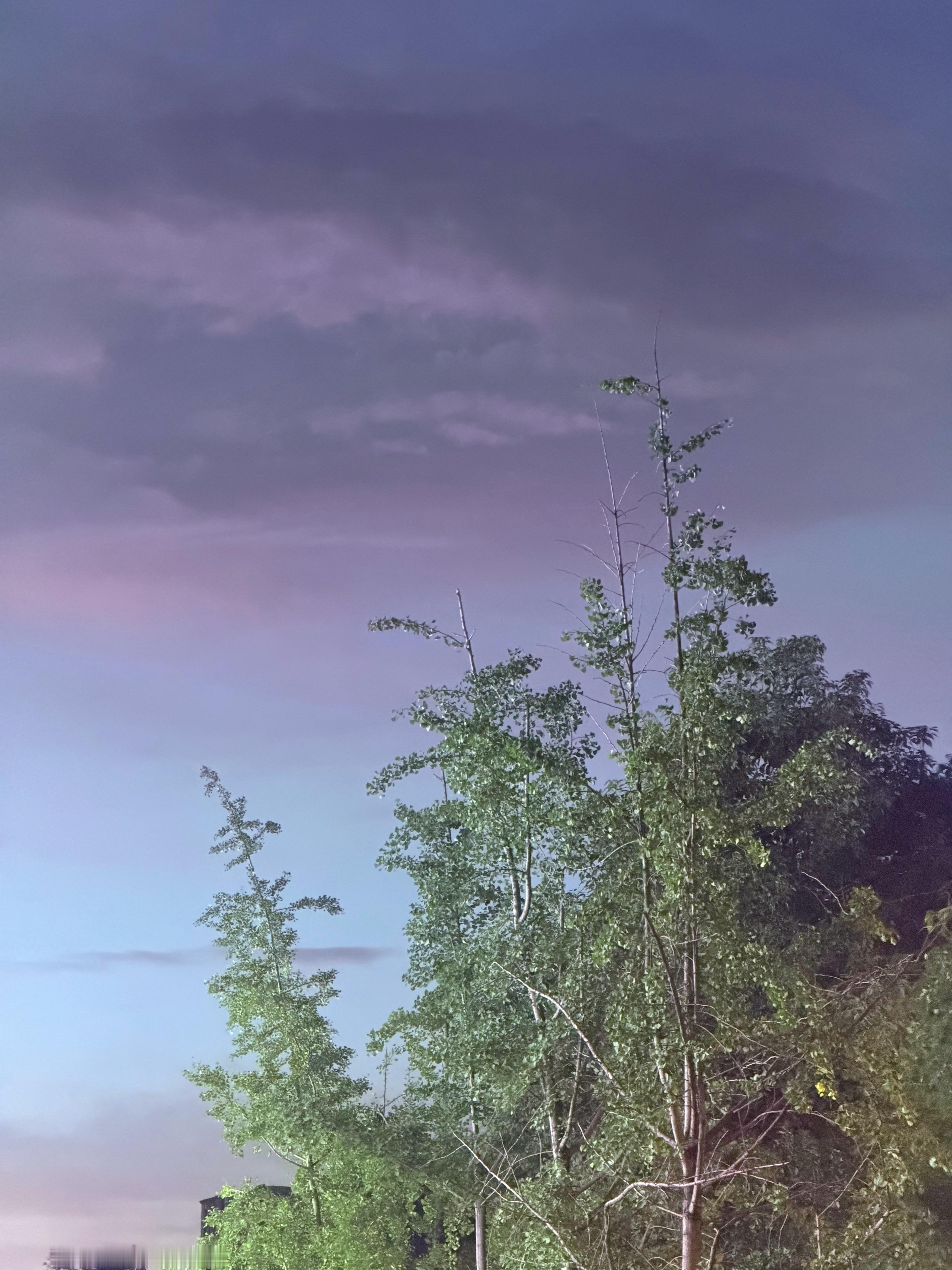 我请你看粉粉的天 成都·成华大道