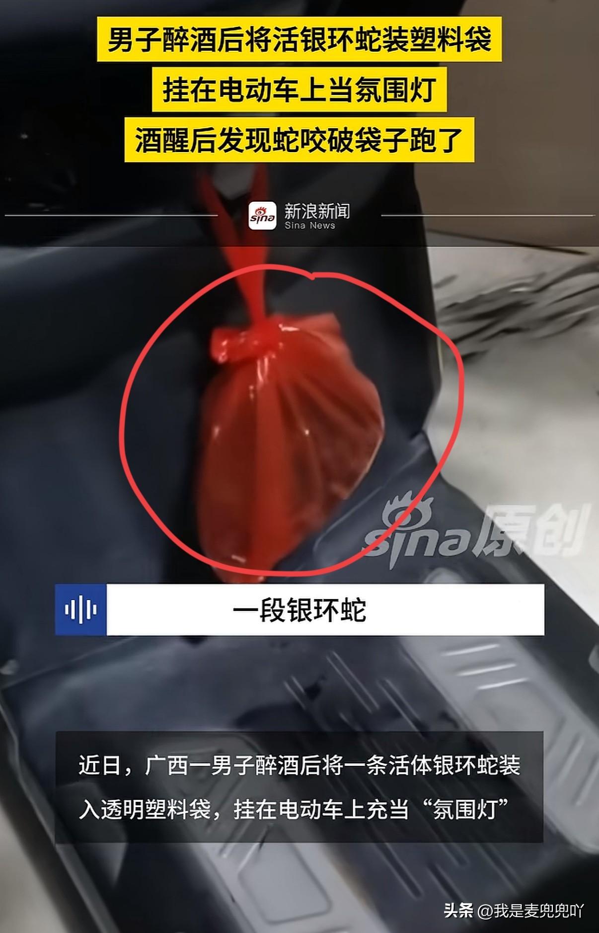 酒真是个神奇的东西，有人喝了酒敢打老虎，有人喝了酒敢玩毒蛇

广西一男子酒后抓住