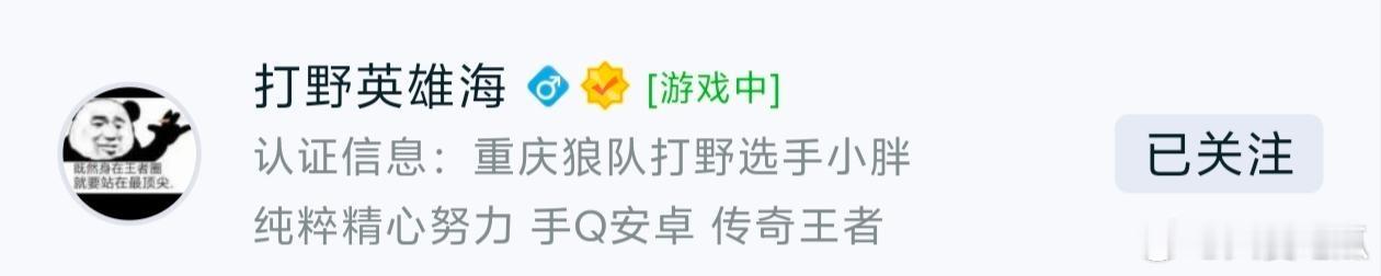 瓜友速报 小胖的营地id 打野英雄海游戏id   纯粹精心努力 