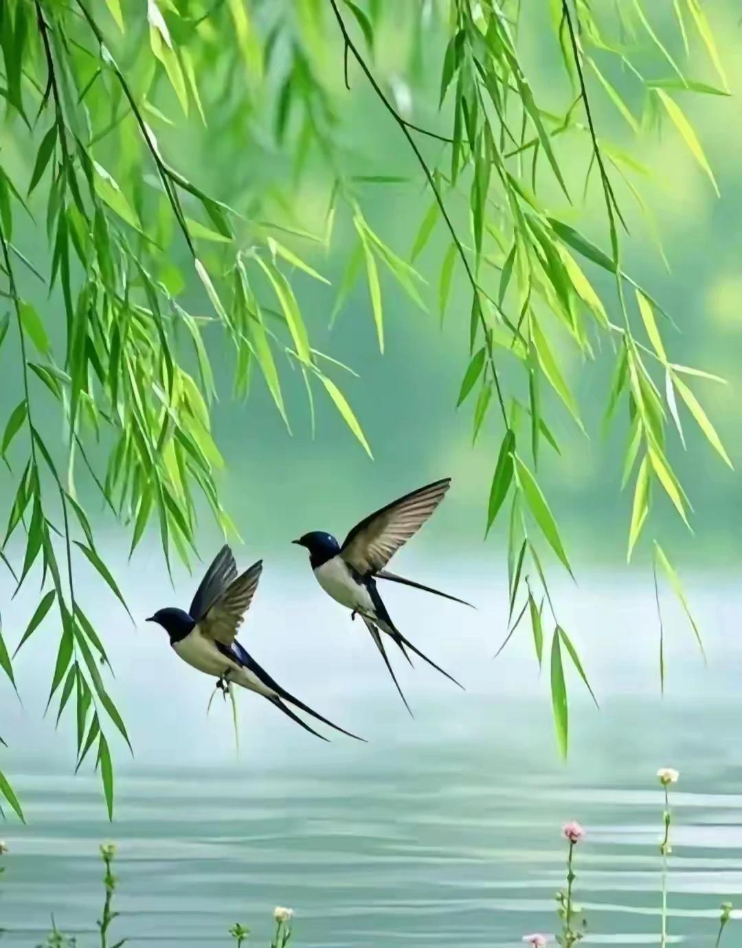 上联：马蹄踏碎三冬雪
下联：归燕柴出二月春