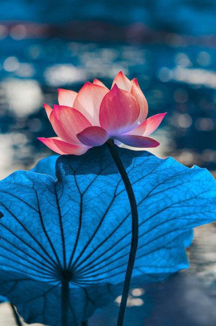 今天是公元2026年4月20日,星期一,农历三月初四.
丙午年 壬辰月 甲子日;