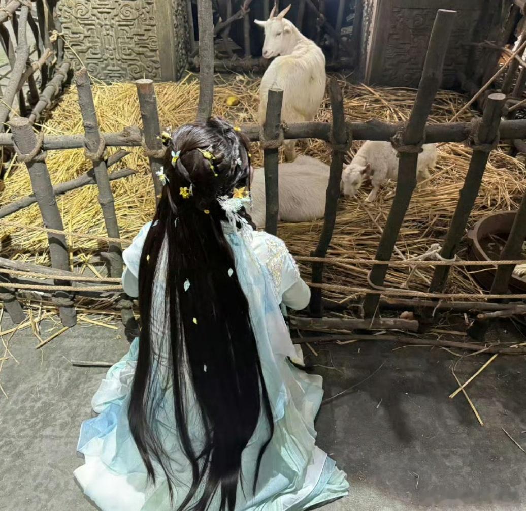 这个世界美好的事情不多，立秋傍晚河对岸吹来的风，和笑起来甜得要命的你白鹿[超话]