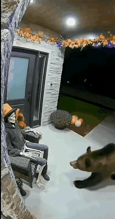 这是谁干的[尬笑]