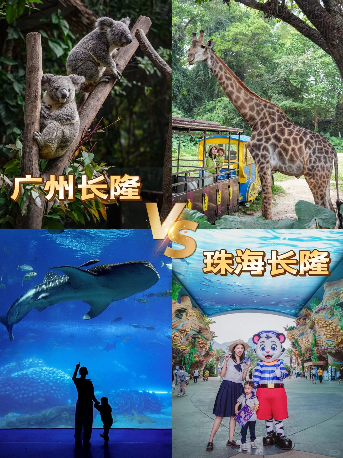 广州长隆VS珠海长隆,带娃选哪个⁉️附攻略!