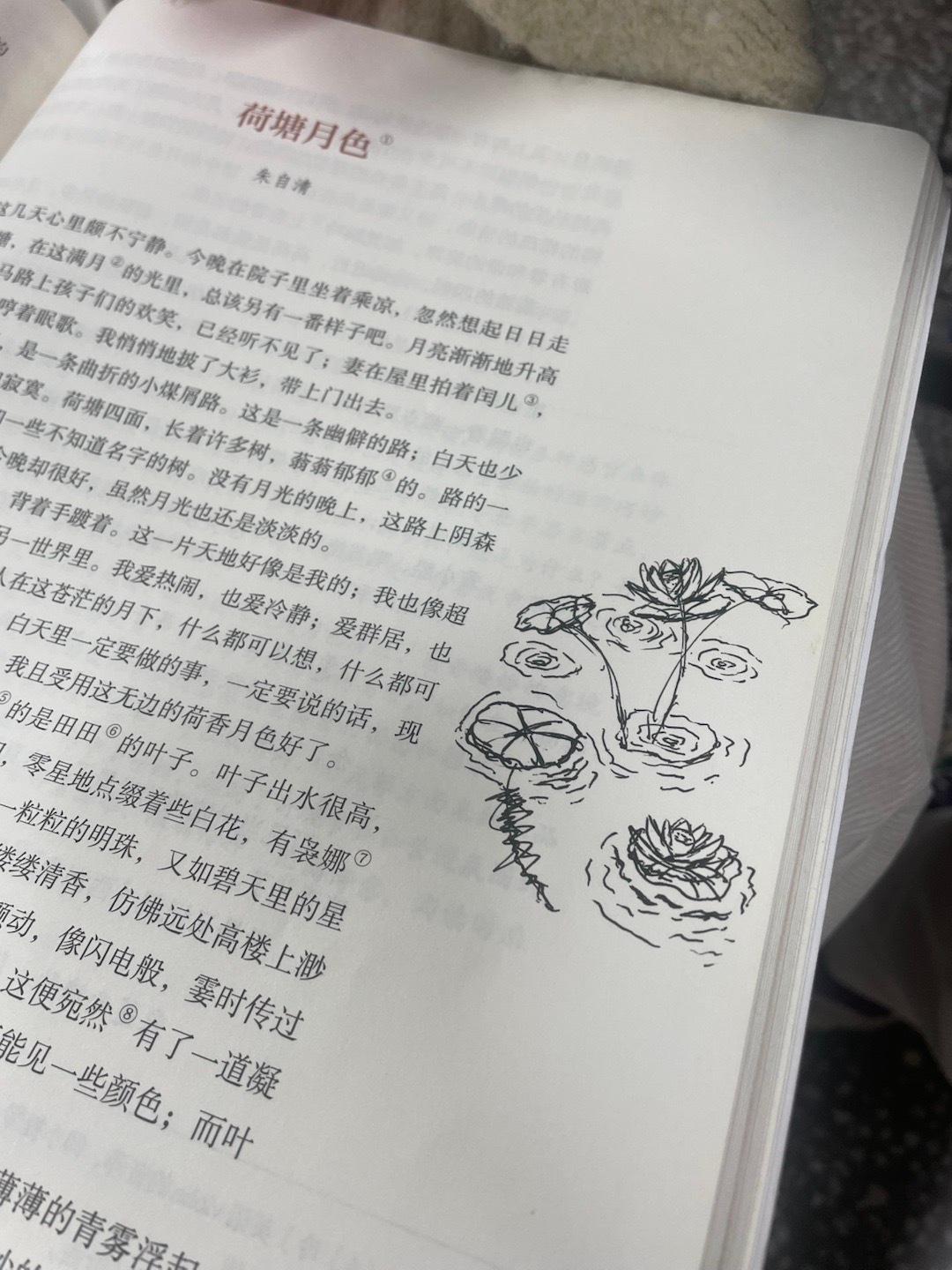 🪷（大师作画中…） 