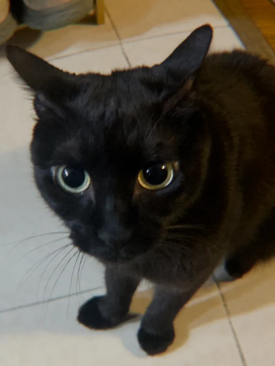 小嘴一努 大事不妙