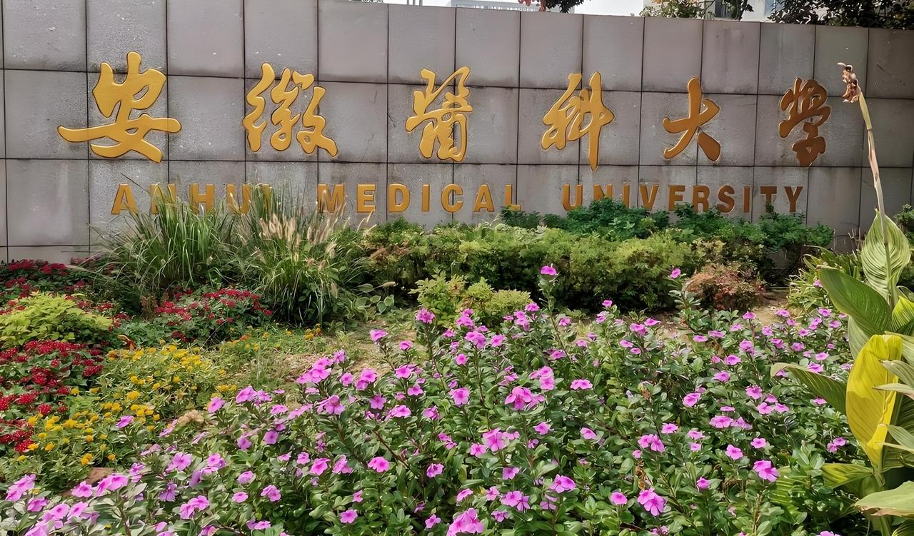 不想租门面投大钱？肥西老乡抓安医大红利，这几个轻资产项目，几千块就能干！
 
咱