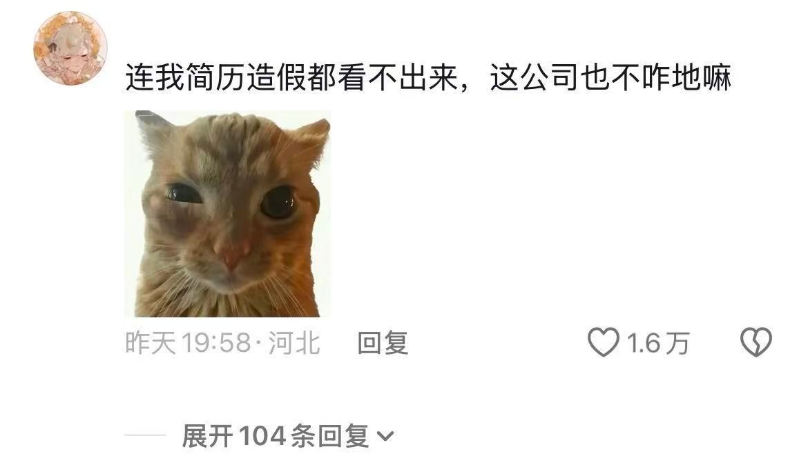 实习面试 面试吹的牛，上班硬着头皮圆 