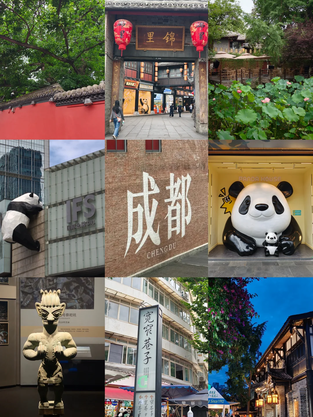 solotirp第一站｜在成都的三天两夜闲逛攻略