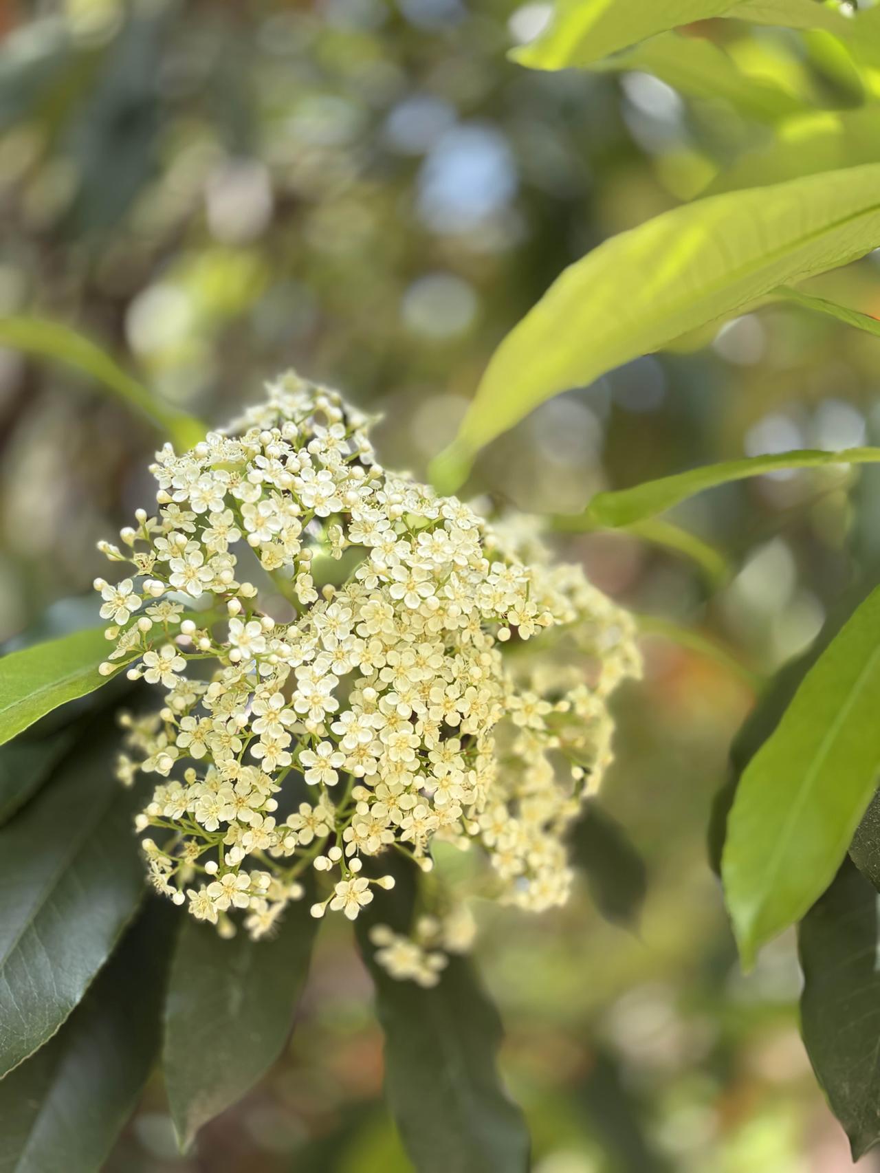 春天是万物复苏的季节，如果我有心愿，大概是：

“愿所有蛰伏的冬，都能在春天里抽