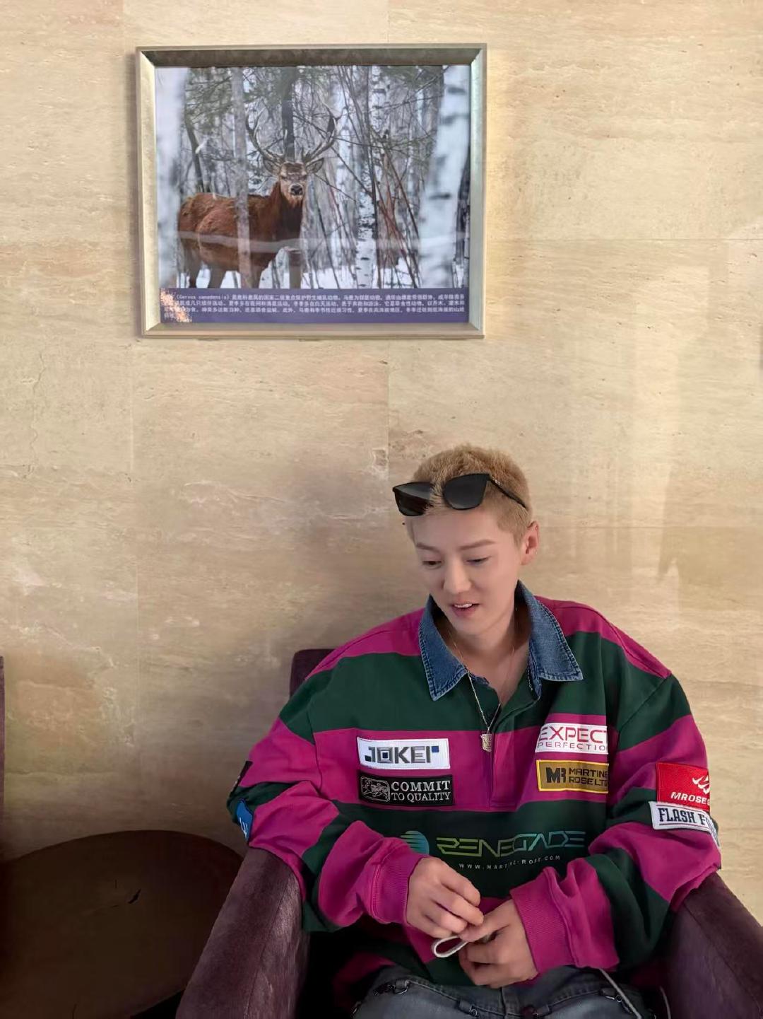 鹿晗说这只鹿和他名字就差一个字 鹿晗的小鹿奇遇记图中有两个小鹿很可爱~ 