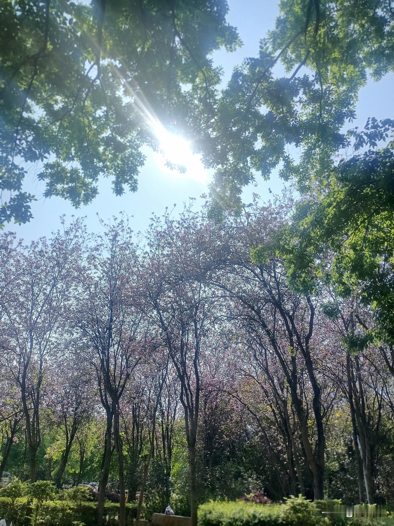 你会如何晒出春日格调？