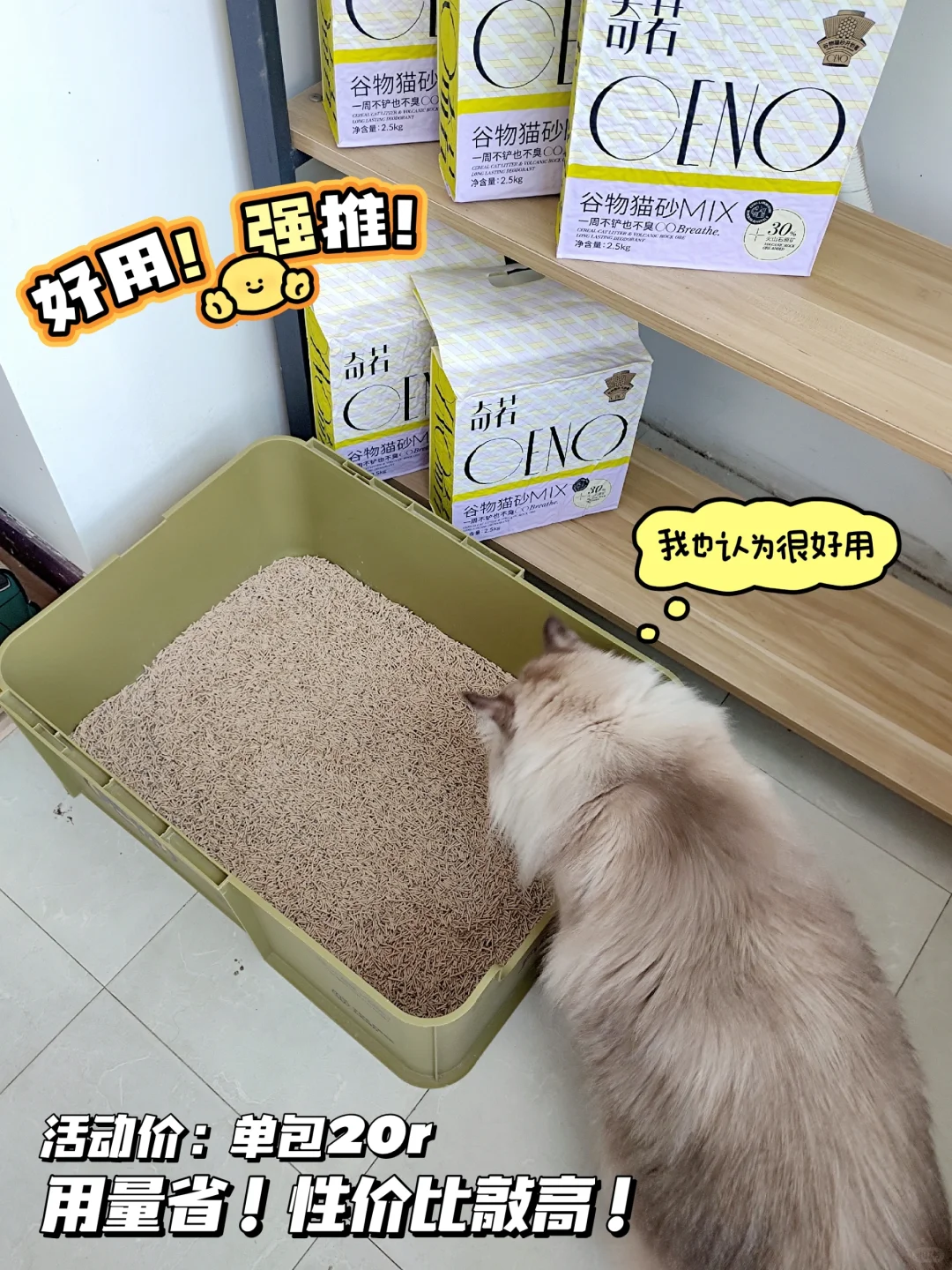 养猫太臭？是猫砂选错啦…