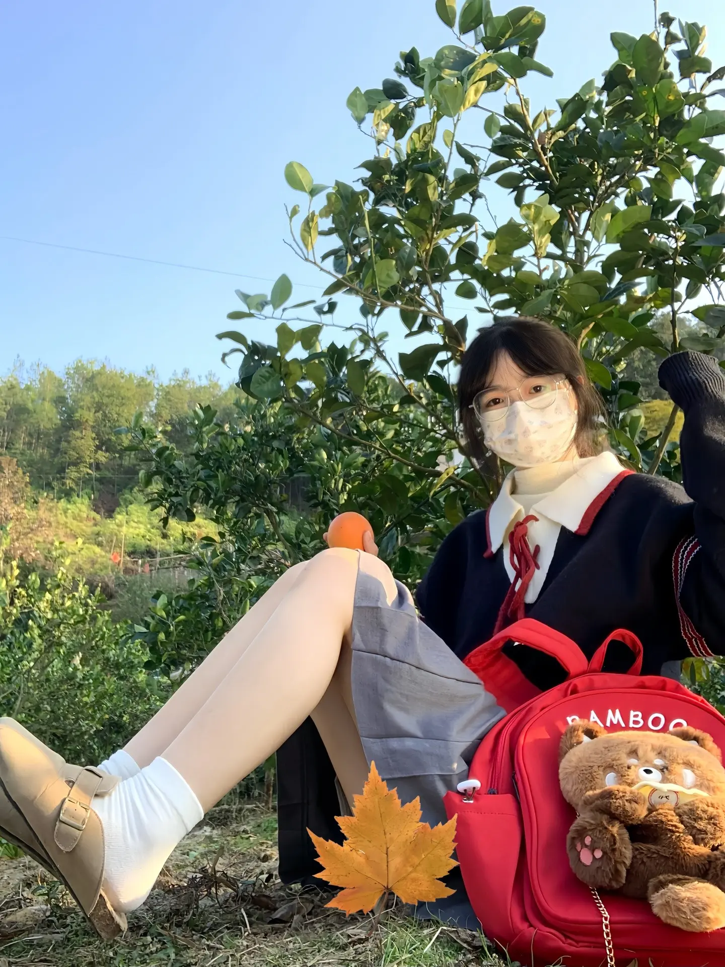 小猫最粘人的季节。回复