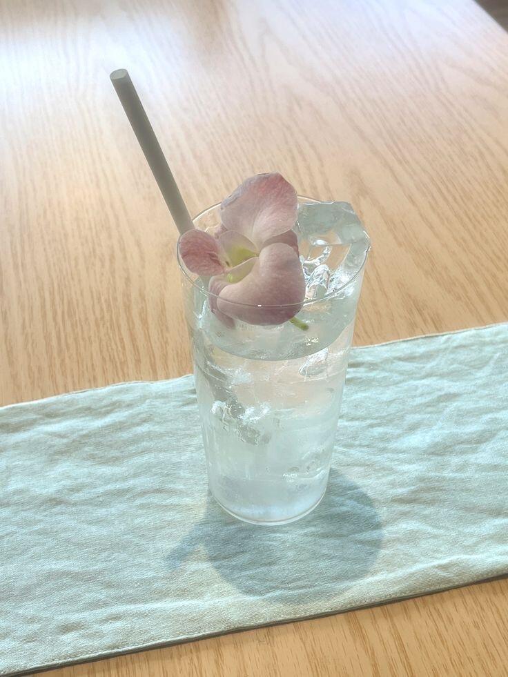 【背景图】分享˚₊✯͡ 🜚 *·.    绿色|清新|贝壳|饮品|精致|夏日|