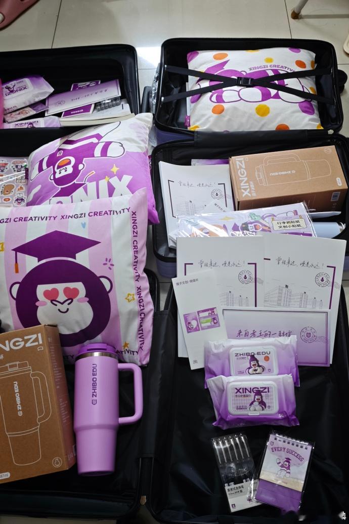 崽崽们有数清这次有几款抱枕嘛~嘻嘻[坏笑]猩子来浅浅调研下！你最喜欢哪一款呢？智