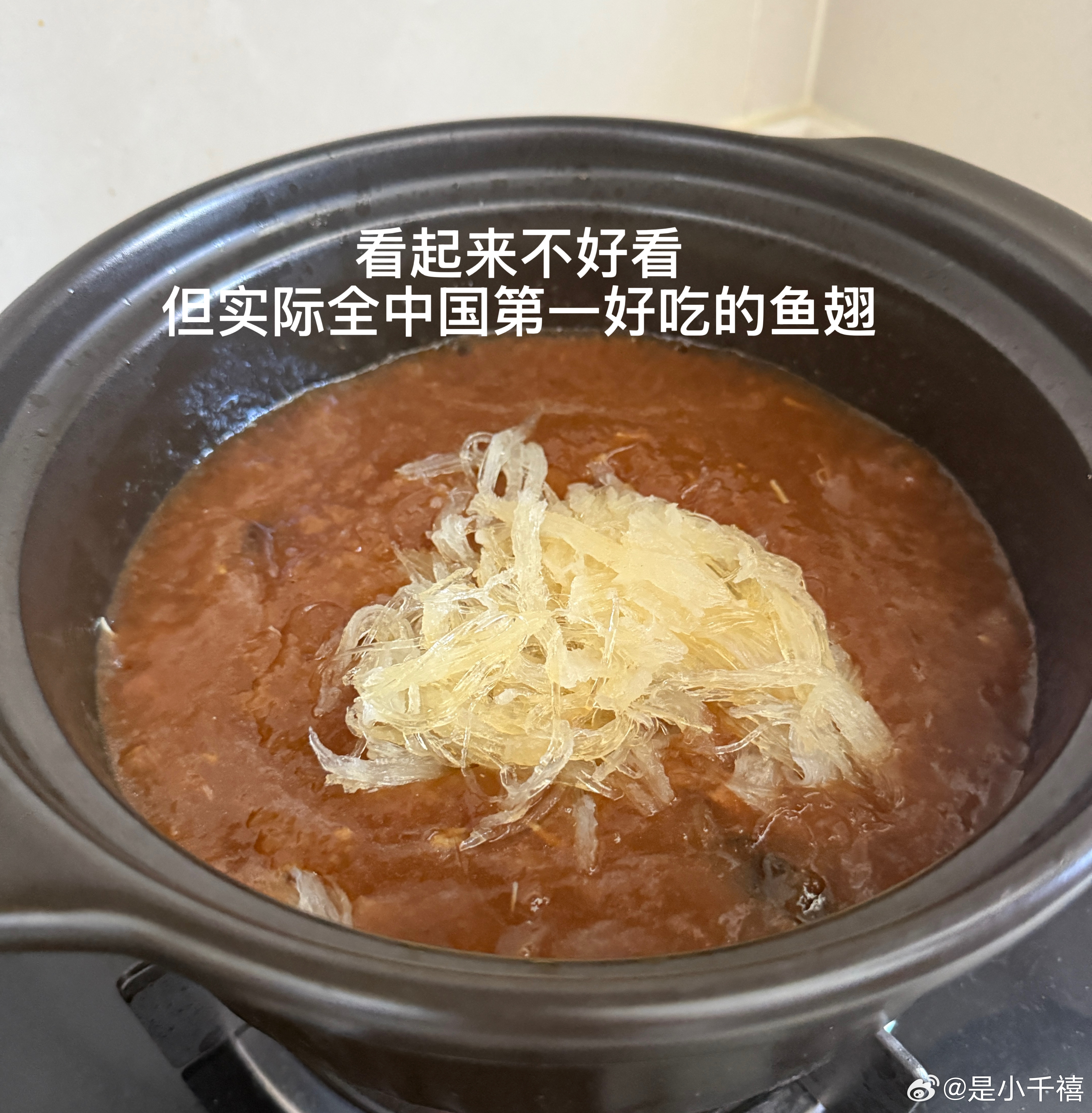 干妈来趟杭州给我喂胖四斤 突然想养小狗于是去朋友那借了她的狗来养了两天决定还是放