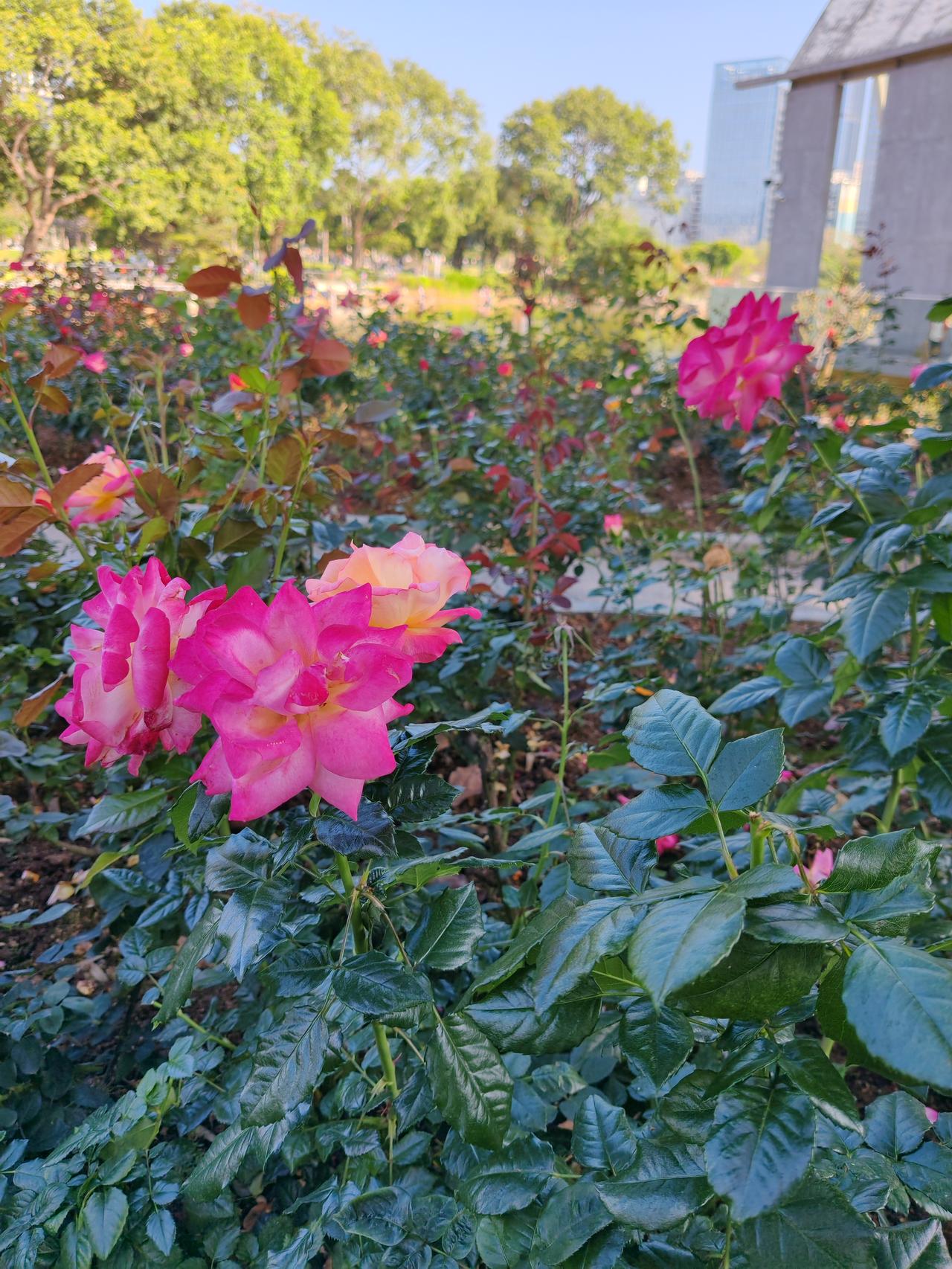 中东变局下调整投资组合真是个让人头大的事儿。今年投资圈剧本全改了，年初华尔街预测