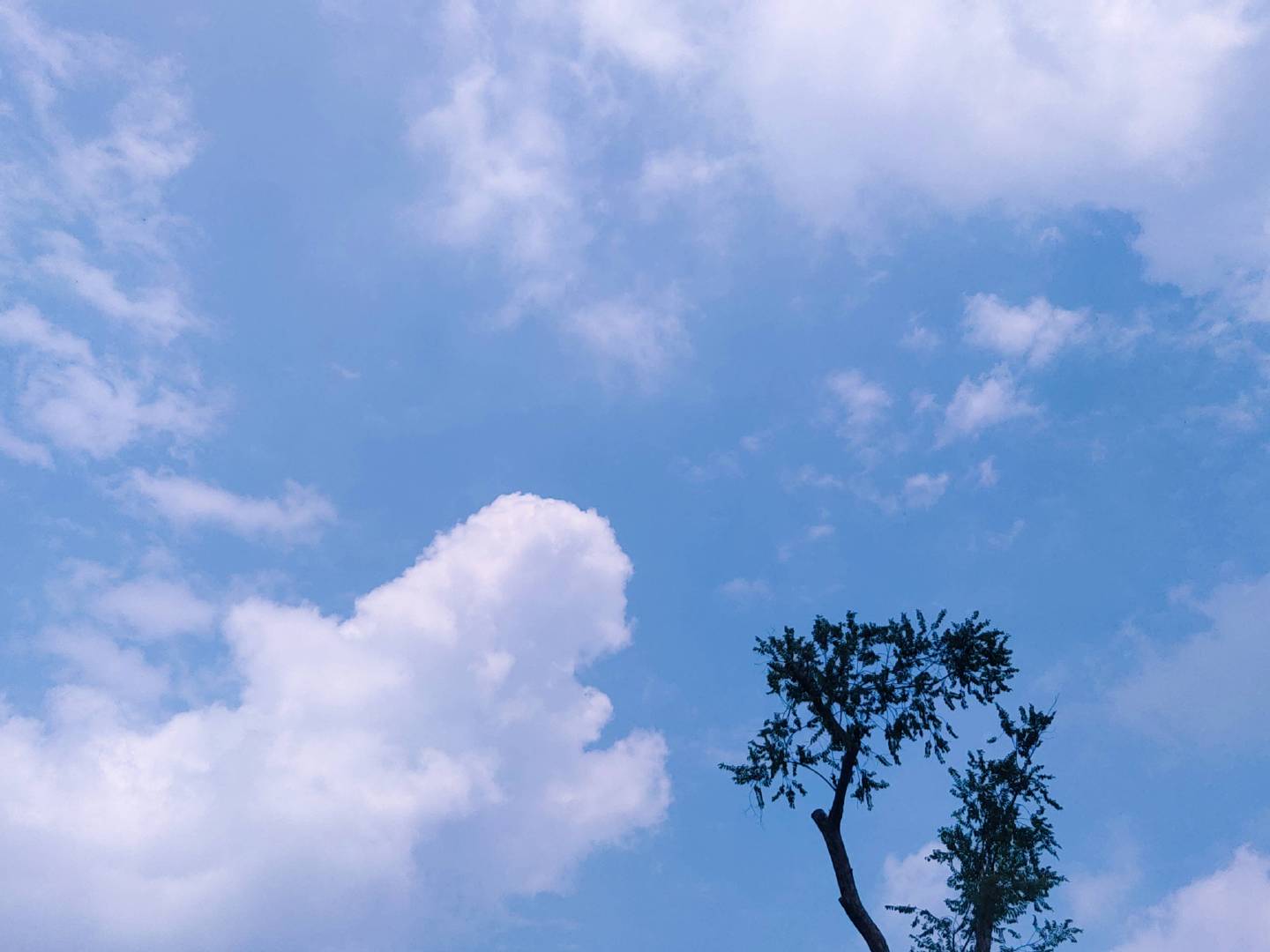 凡事预留退路，不是预先打算放弃，而是清醒认清世事无常。不孤注一掷押上全部，落魄之