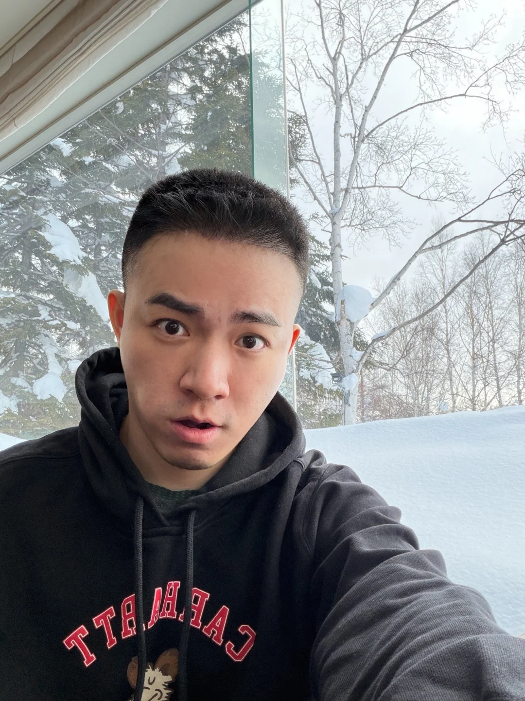 好大的雪啊