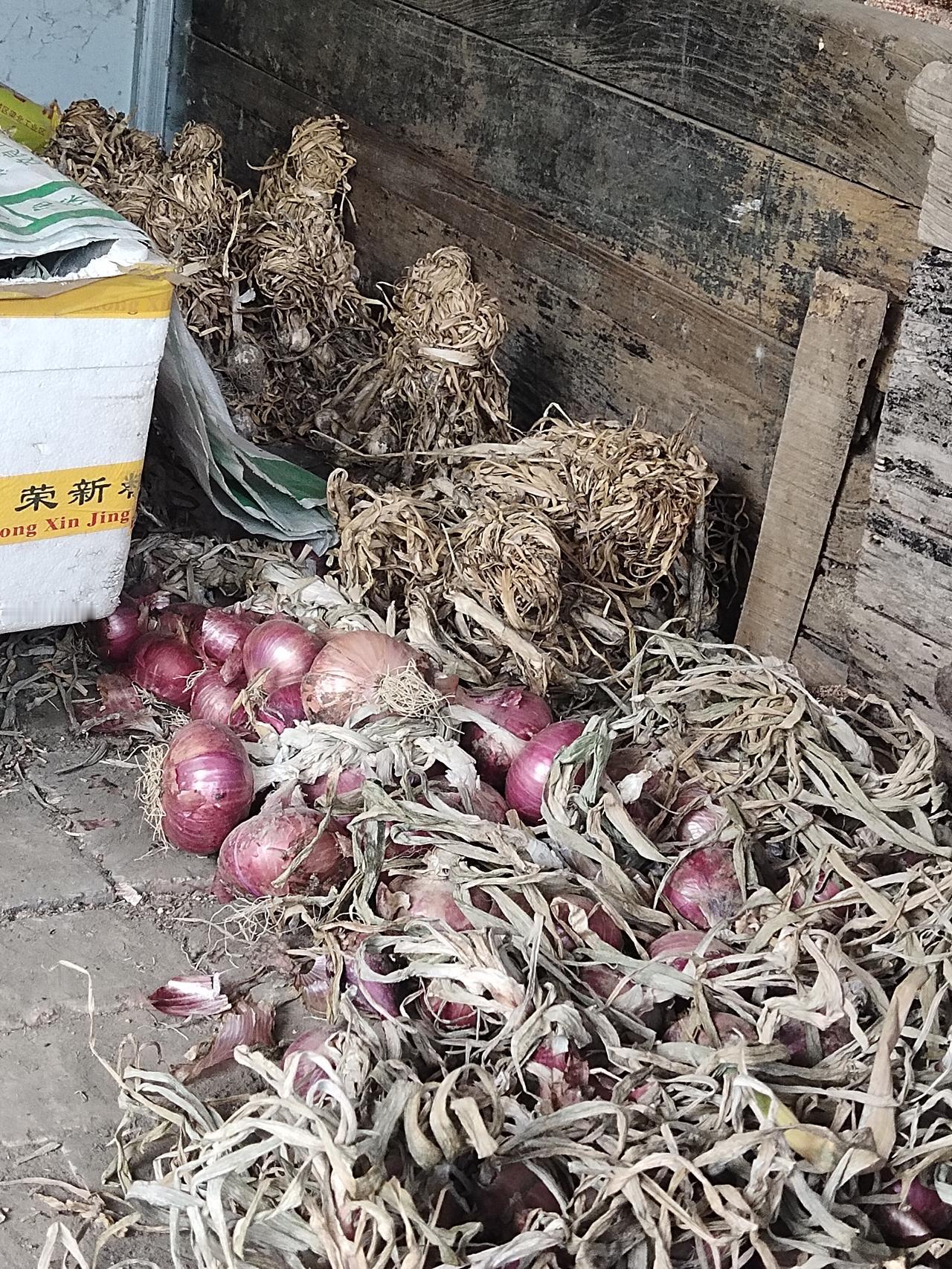 昨天从老家回来，后备箱里塞得满满当当的，有野菜，还有一大兜子自家种的大蒜和洋葱。