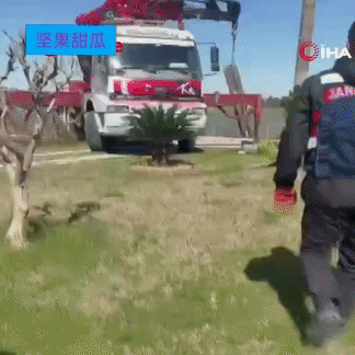 土耳其默默承受，伊朗发射导弹打击境内的美军基地，土耳其发射防空导弹拦截。最后只是