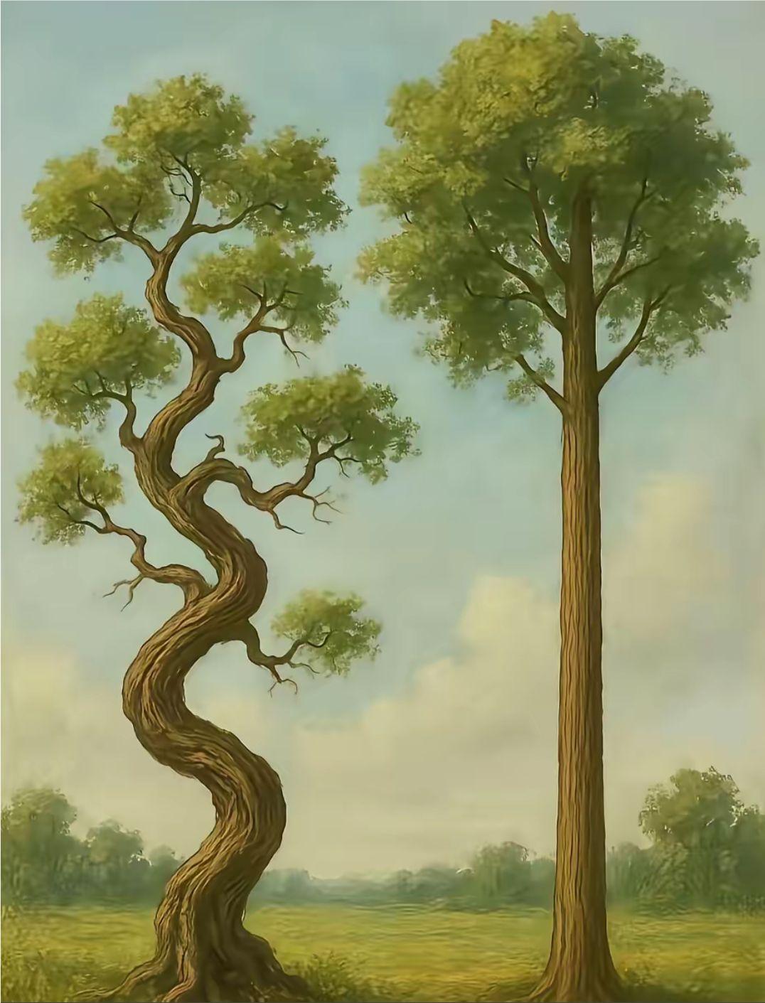 看到这张图，你有什么感想。