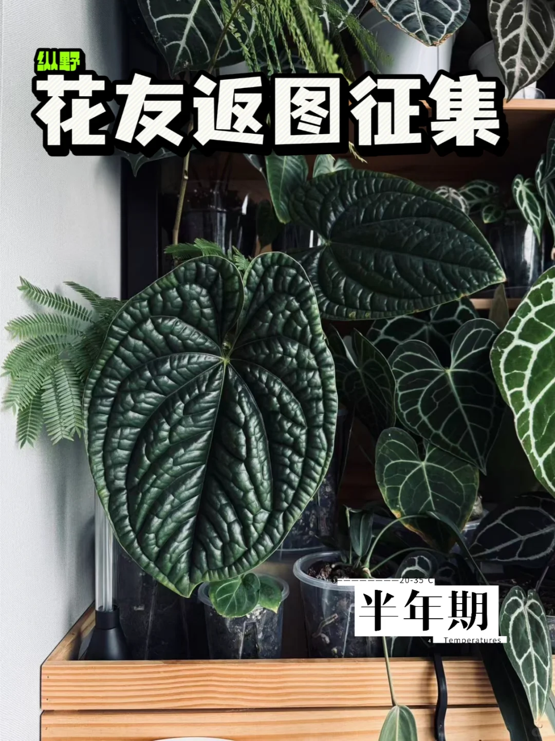 晒晒你家纵野大宝贝