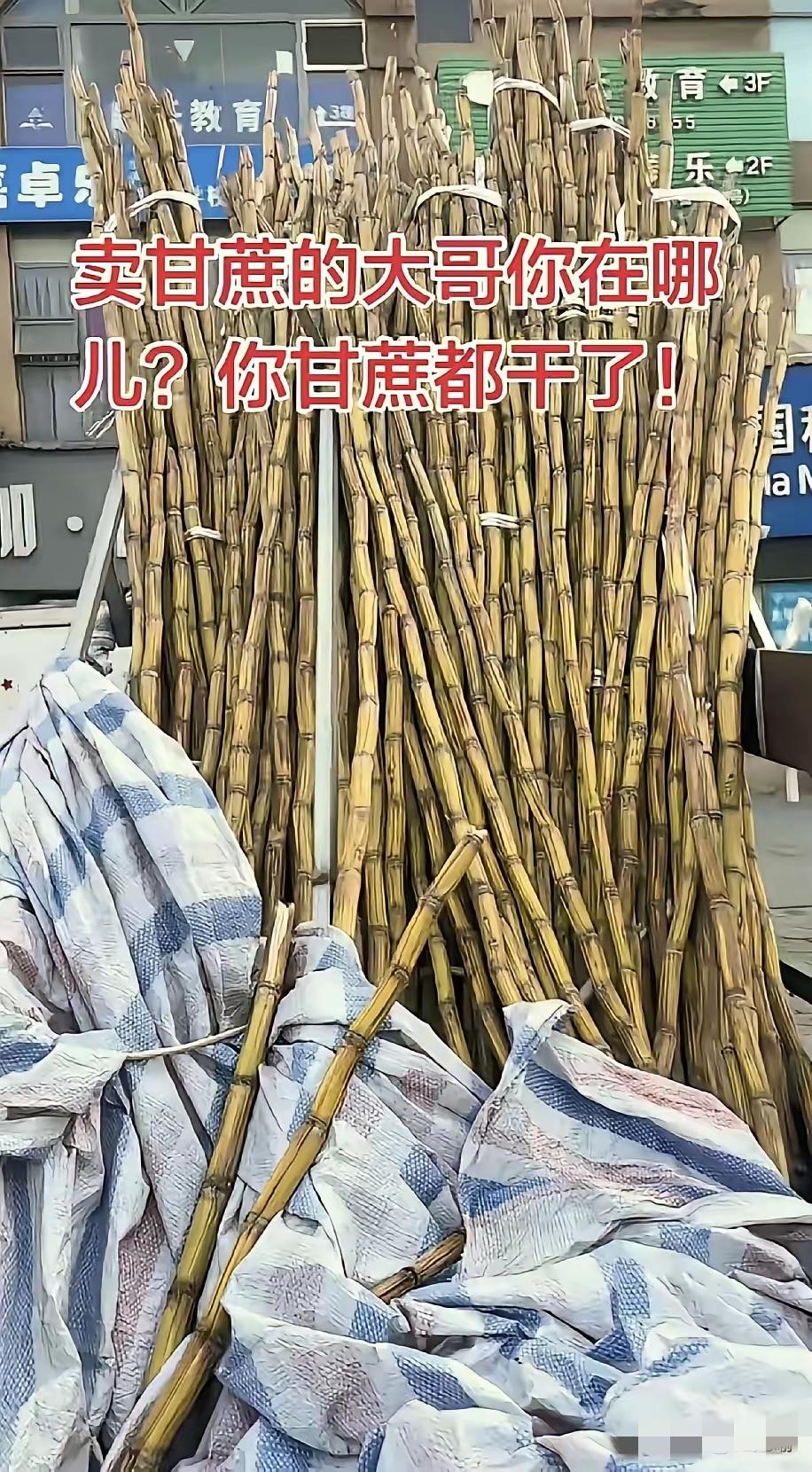 太暖心了，四川，一男子发现，楼下常年摆摊卖甘蔗的大哥从过年之后就没出摊了，路边三