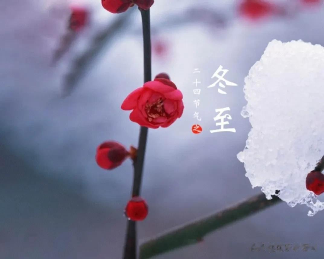 今年冬天啥时候最冷？

2023年冬至是12月22日，也就是说从这一天开始，人们