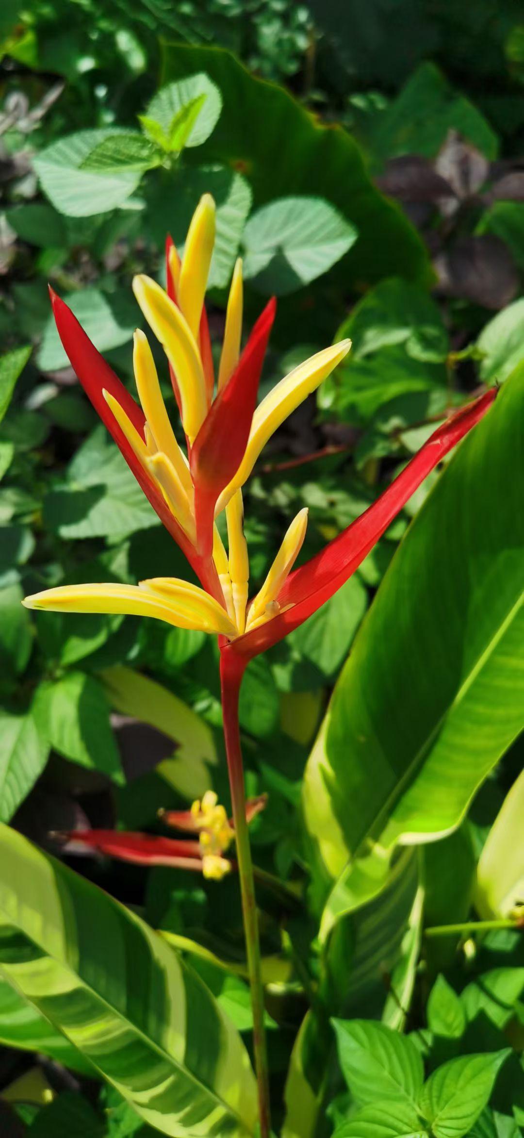 下联：细数繁华似幻影。接着对下联友友们！