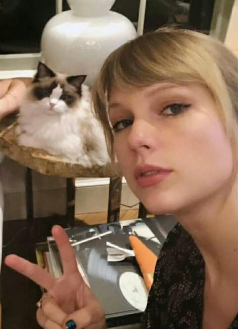 霉霉粉丝居然支持虐猫？这样背刺真的好吗？[笑cry]霉霉taylor swift