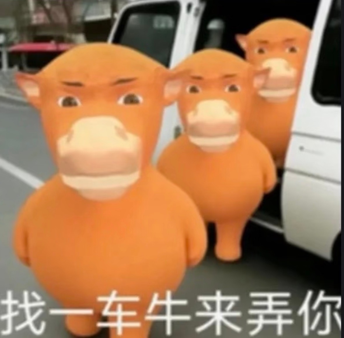 你又在这里给我闹麻球呀？ ​​​