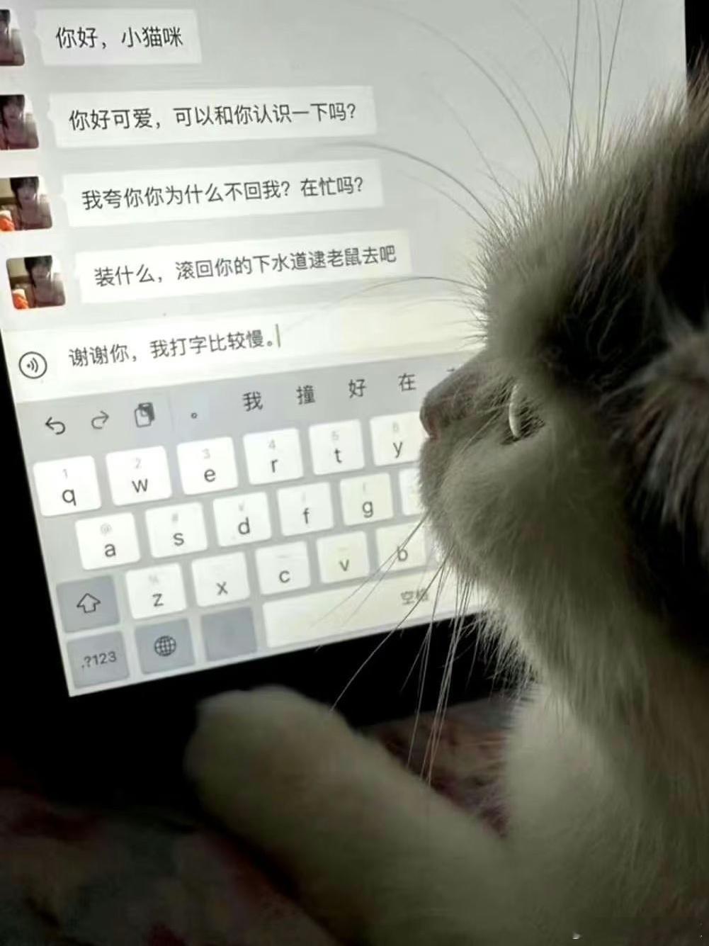 快快回家[开学季]可爱们有没有好好待在安全的窝窝里[开学季] ​​​