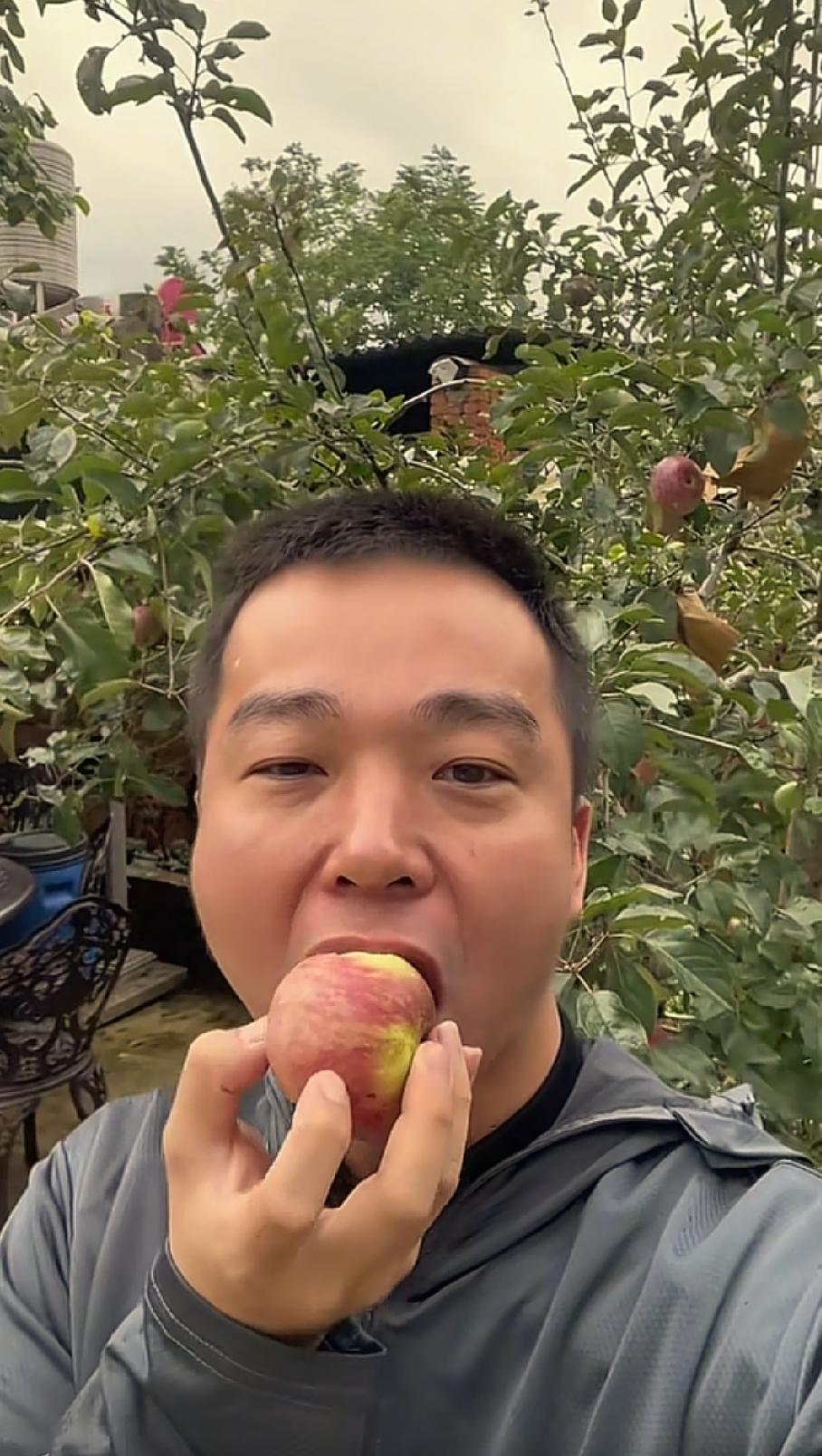 达文西抵达云南之后，他跟着舅舅海哥走进当地一处农家小院。小院内有梨、有苹果、有无