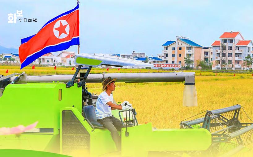 五谷丰登的丰饶季节来临了。
田野上讨人喜欢的稻穗沉沉地低垂下来。这并不是自然的恩