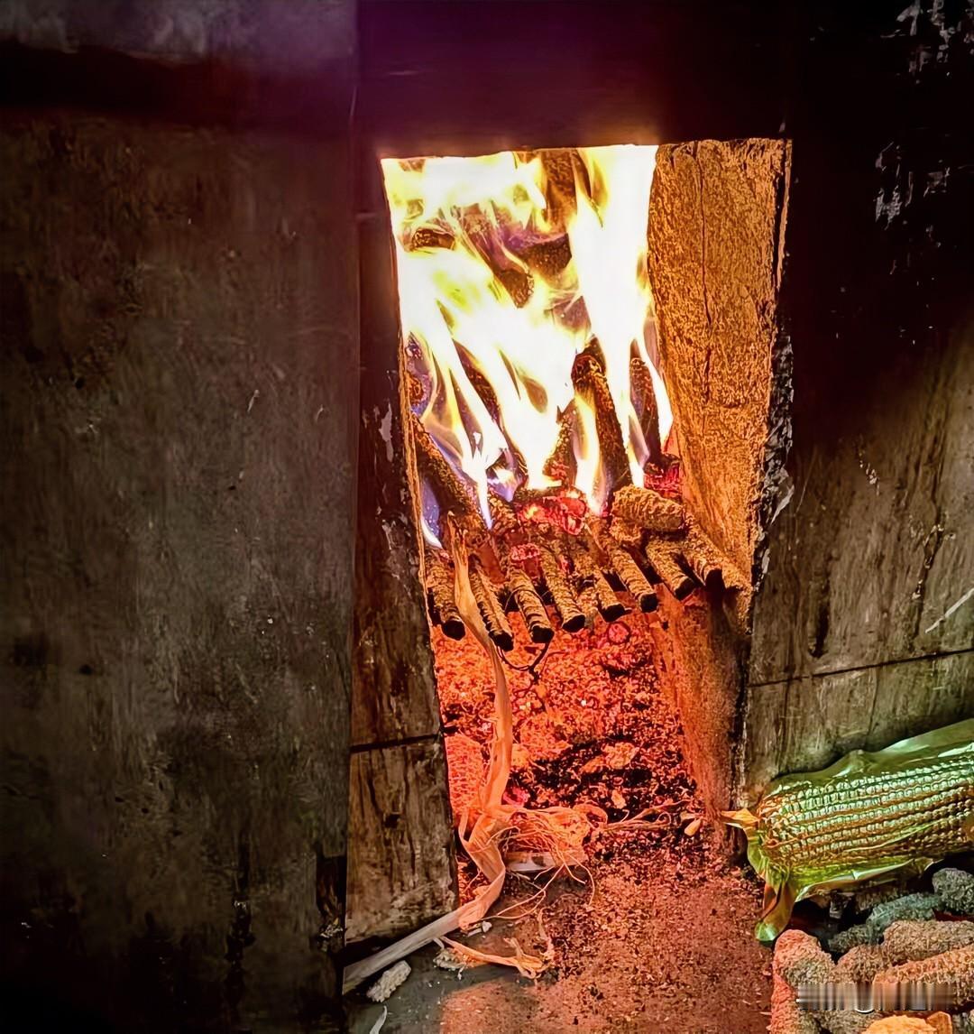 25年来，老公第一次吼了女儿，看得出，估计吼完，他就立即后悔了，因为最后他以一句