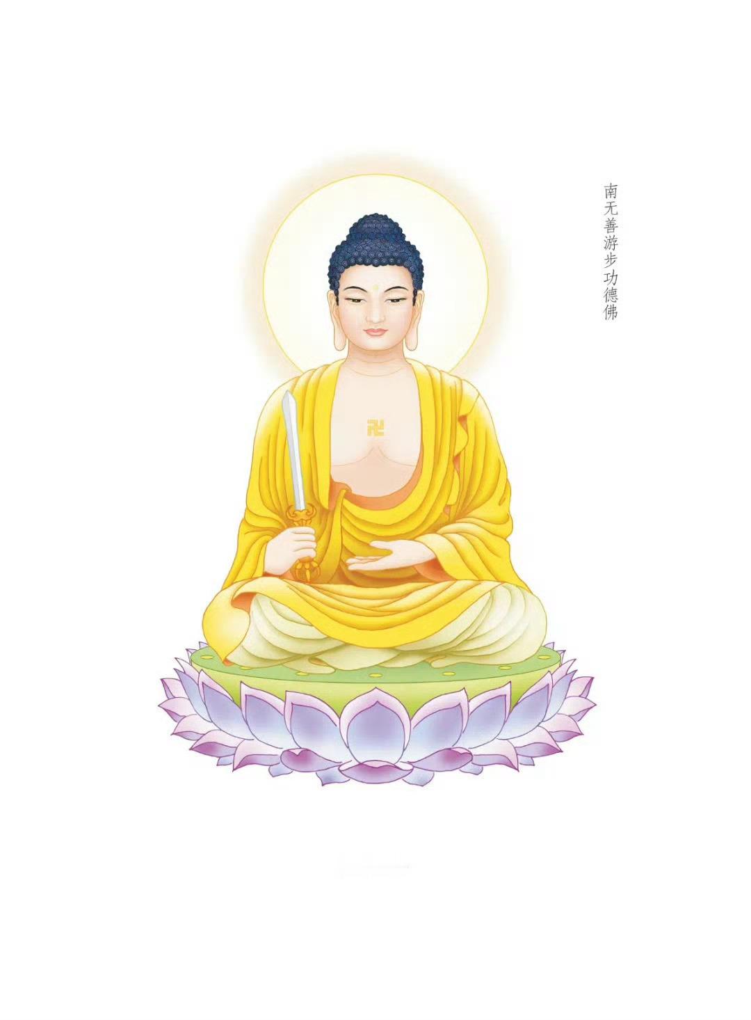 晨起礼佛 顶礼三十五佛之南无善游步功德佛  转发分享，点赞祈福，祈愿大家远离一切