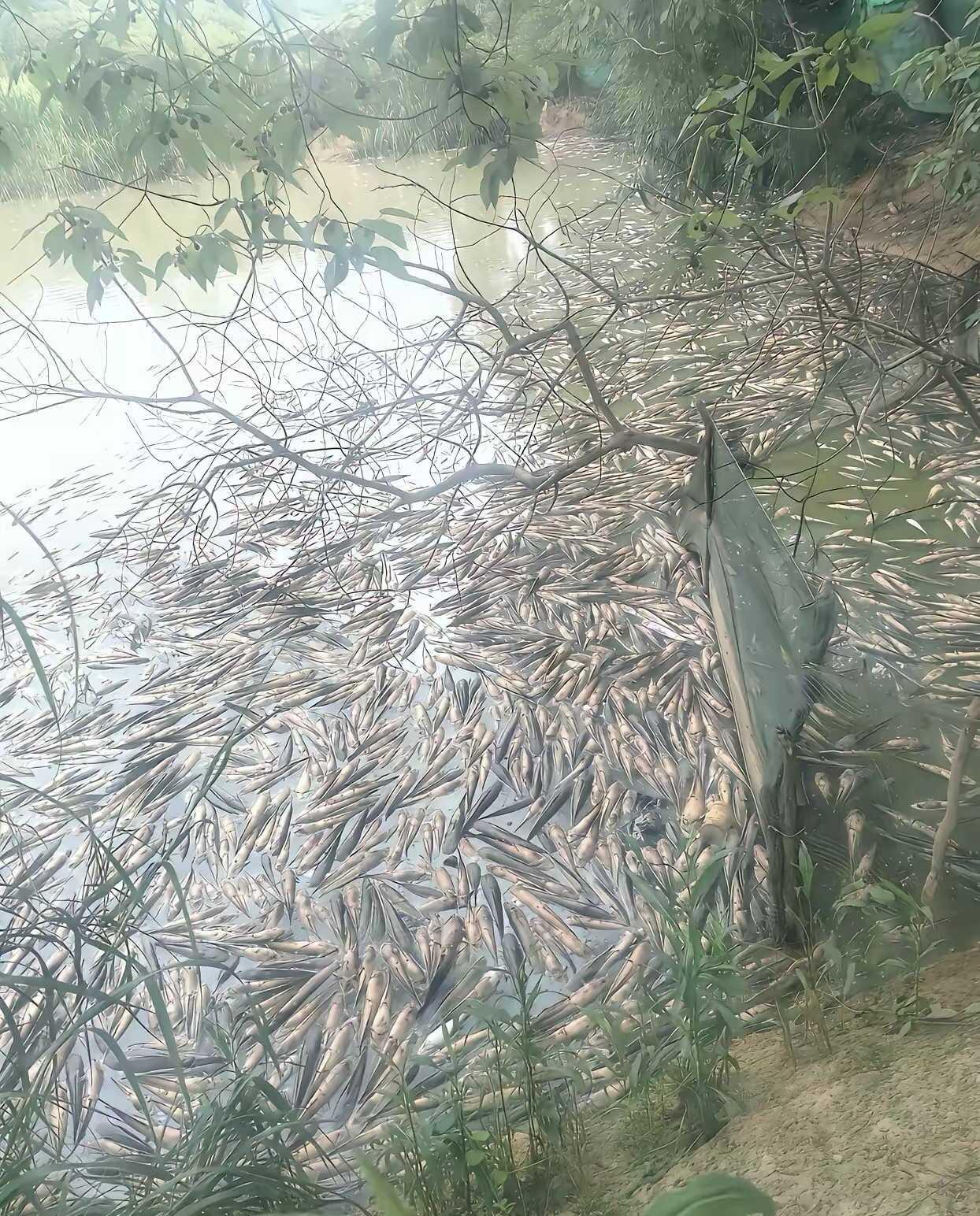 天塌了，一大早起来就这样了，这下该怎么办才好