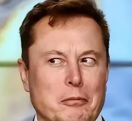 马斯克一句话让全世界都炸开了锅：AI时代最缺的根本不是那些厉害的芯片，而是熊猫公