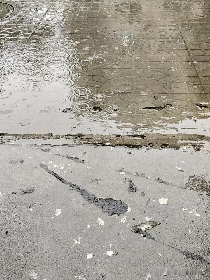 偷得浮生半日闲，趁春未尽望尽春。
午睡之前跟好友约好去溜达溜达，不料一下子睡到了