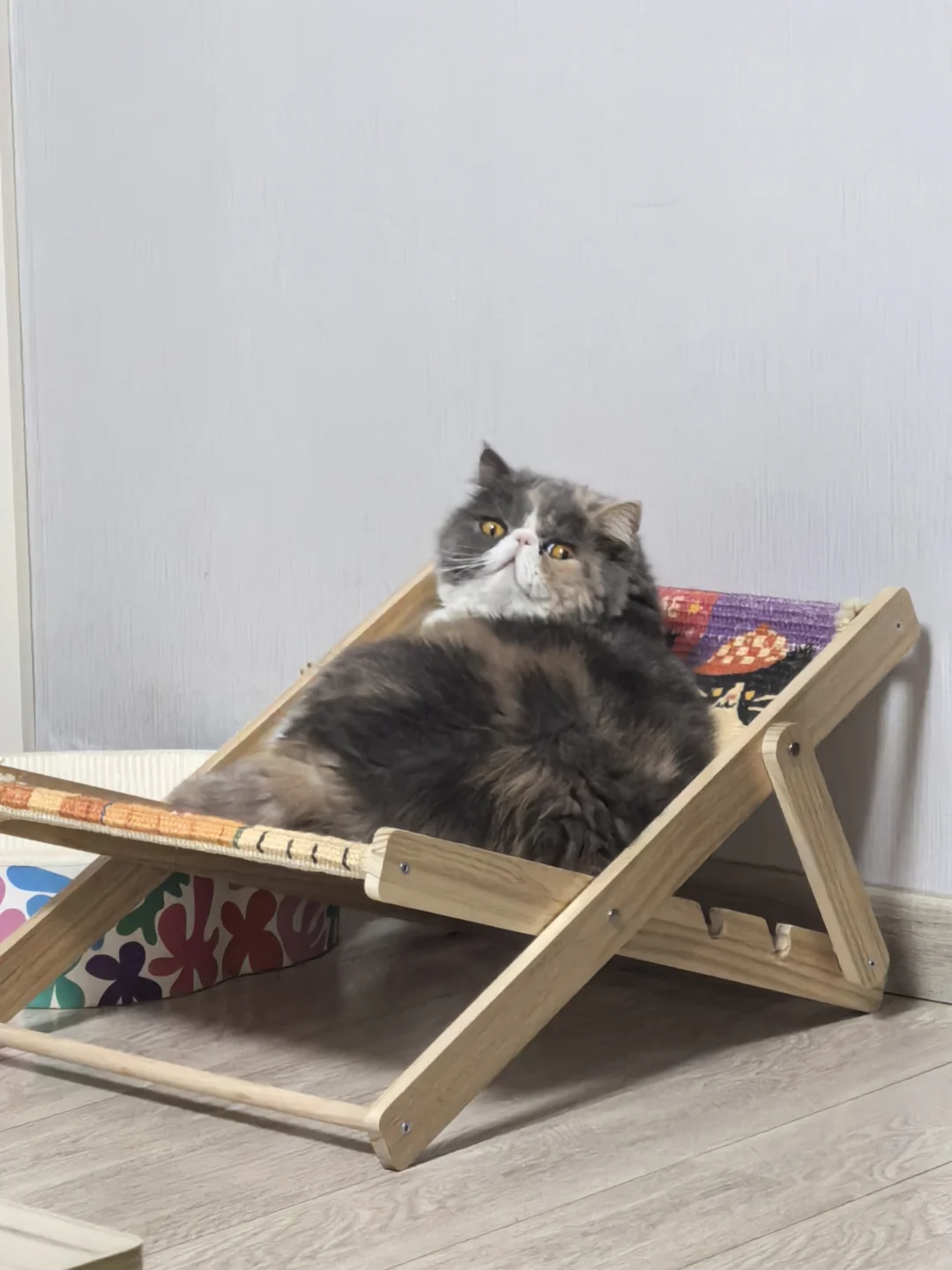 “听说假期要结束了”