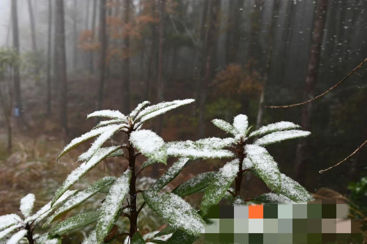 河南开封，一女子下班回家，看见婆婆在给小儿子洗澡，因为事先没有调好水温 ，儿子一