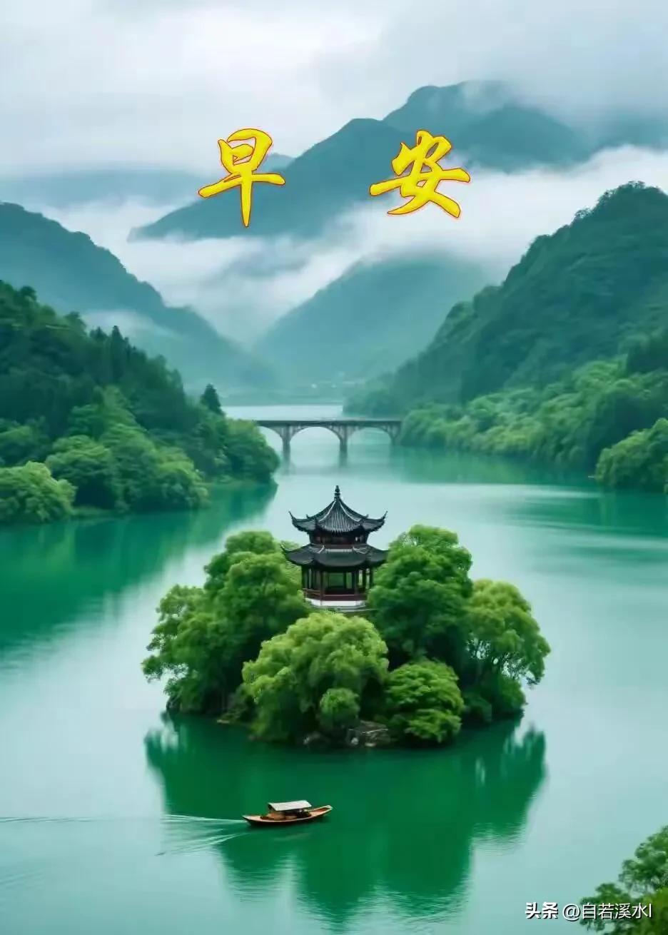 早安，新的一天，愿清风绕身，万事顺心。