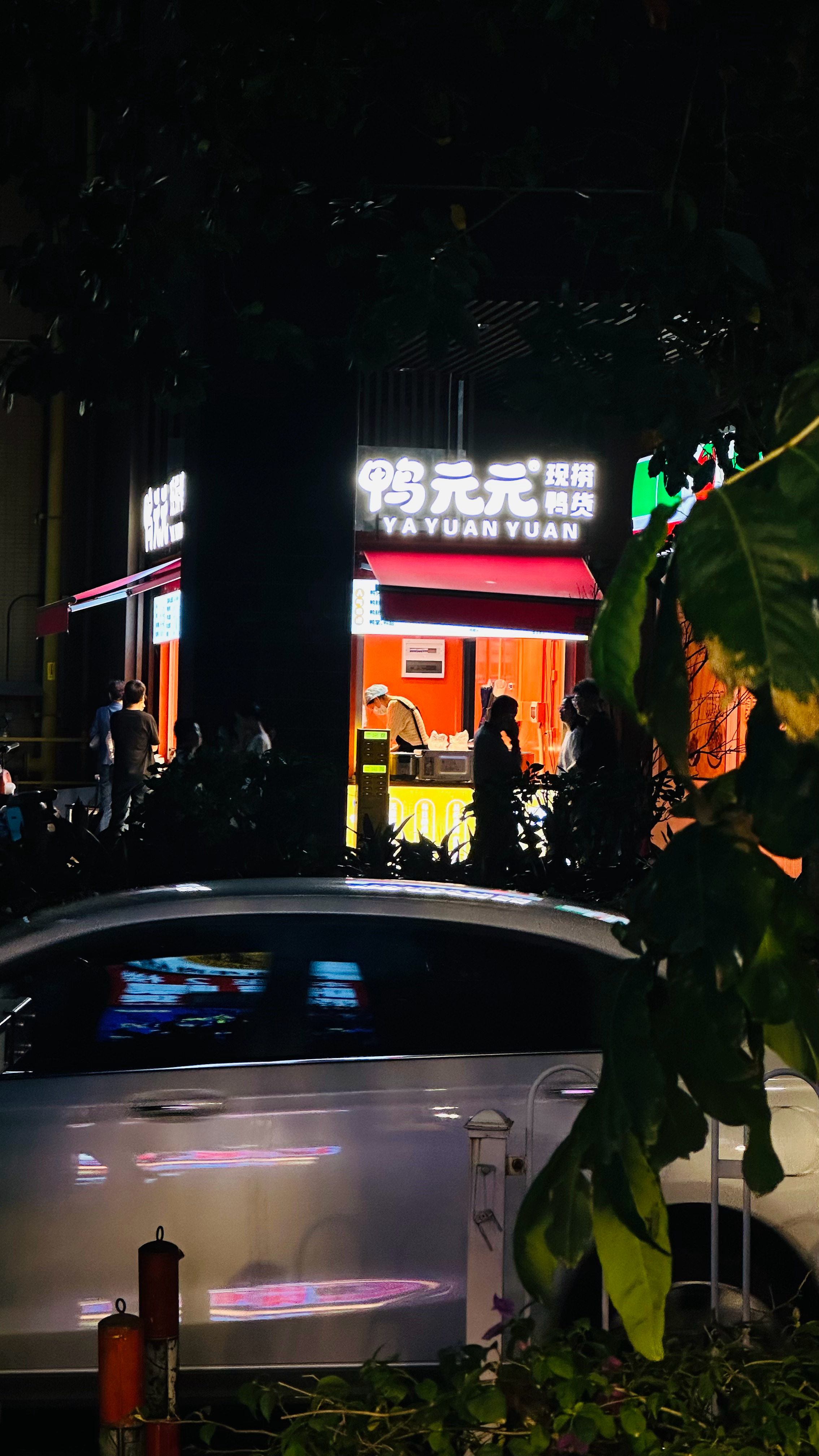 我为你们揭露的真面目 