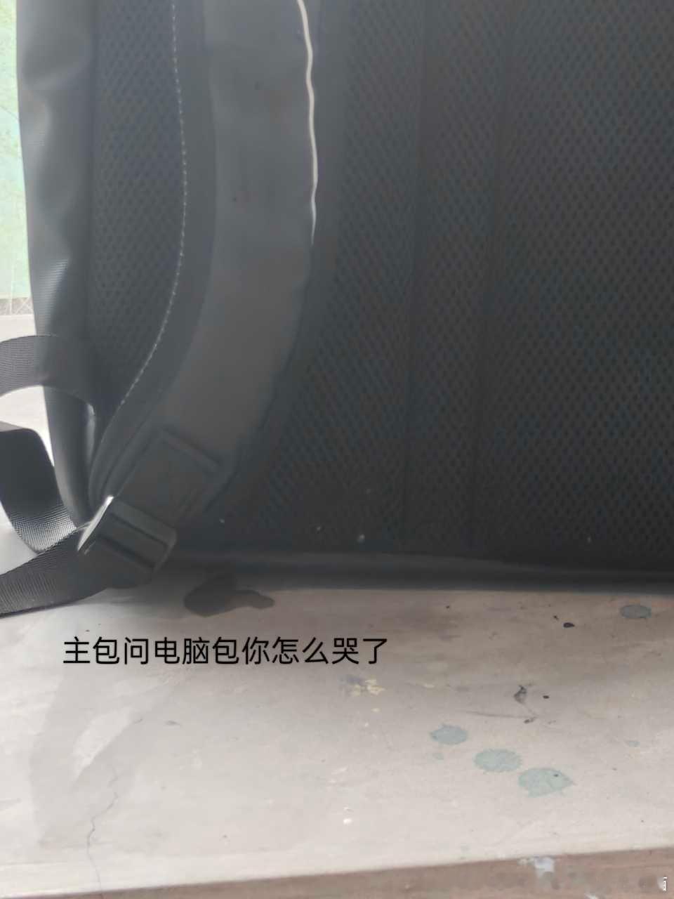 50271【心灵丑】图书馆小猫对主包电脑包不防水部分进行肆意挥洒，主包无处申冤 