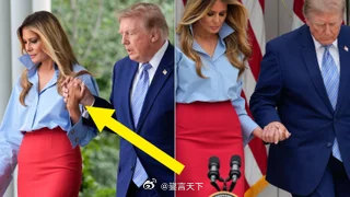 图片分享：《Huffpost》报道：川普终于能和他婆姨牵手了。网图 