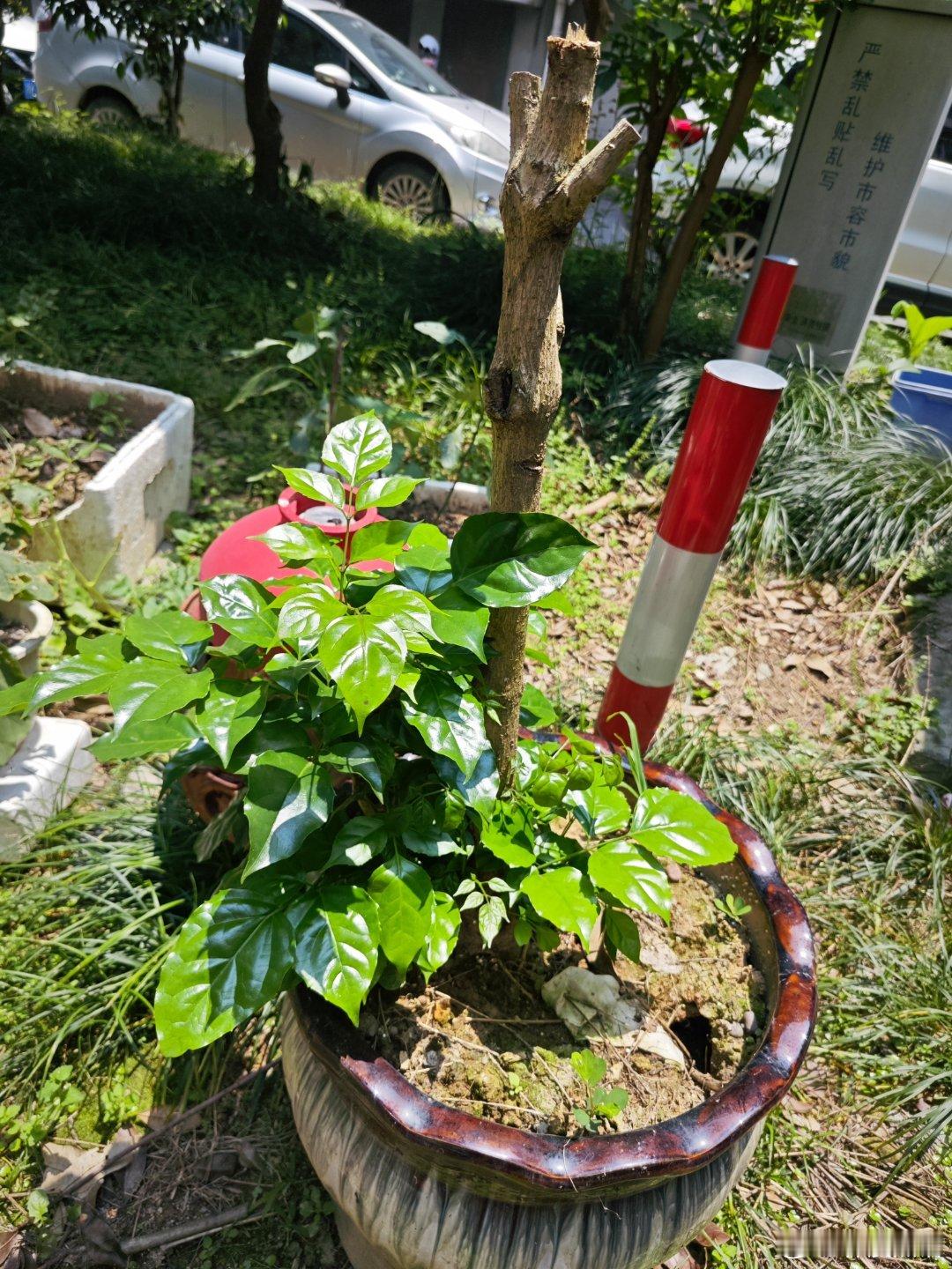 #医生教你控制体重# 最重要的就是控制饮食➕有效运动。管住嘴，迈开腿! ​​​